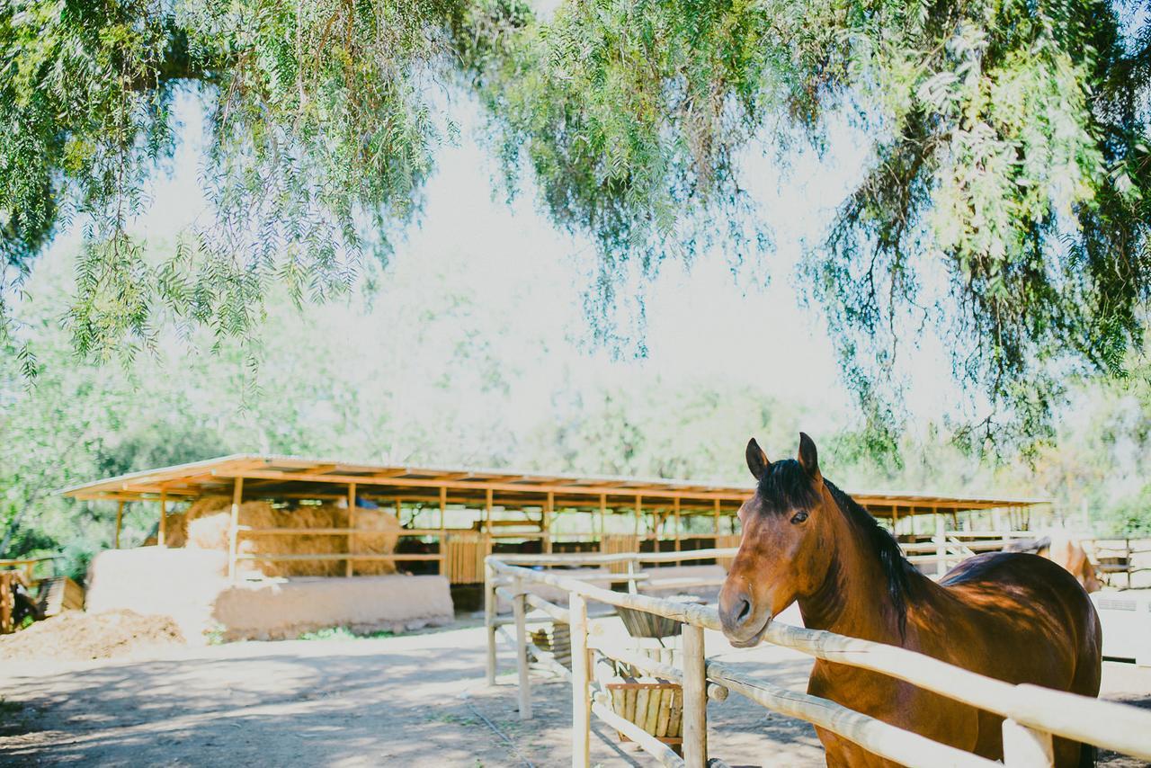 Hacienda Santa Cristina Hotel โอบาเญ ภายนอก รูปภาพ