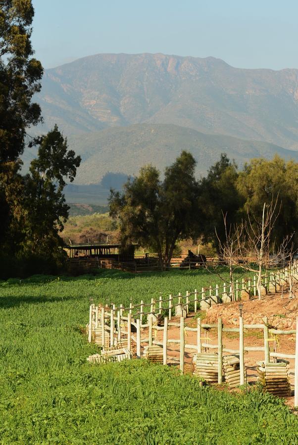 Hacienda Santa Cristina Hotel โอบาเญ ภายนอก รูปภาพ
